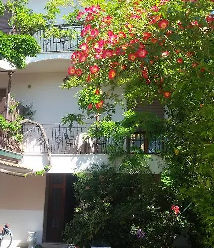 Konukevi Paradiso 3*