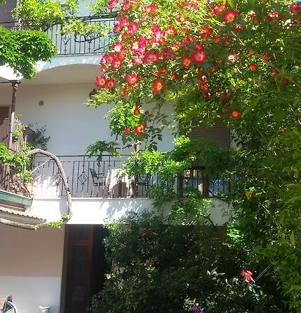 Vendégház Paradiso 3*