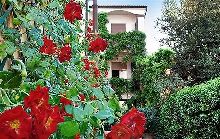 Paradiso 3* Faenza